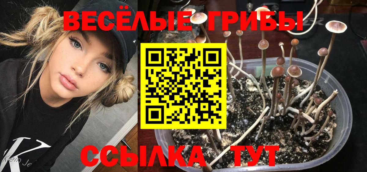 Клин  Галлюциногенные грибы мицелий  Вход с VPN 