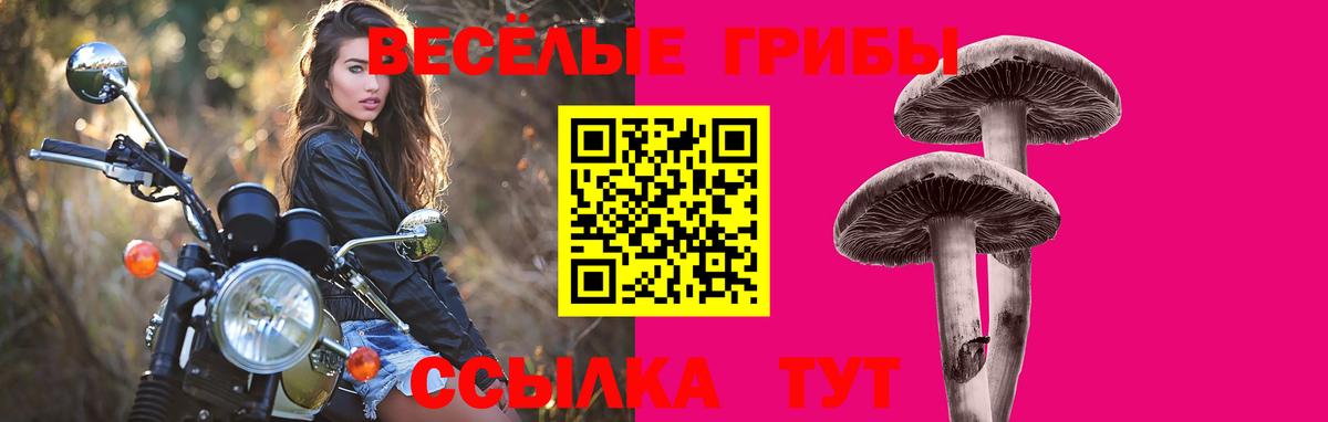 Псилоцибиновые грибы Psilocybine cubensis Клин